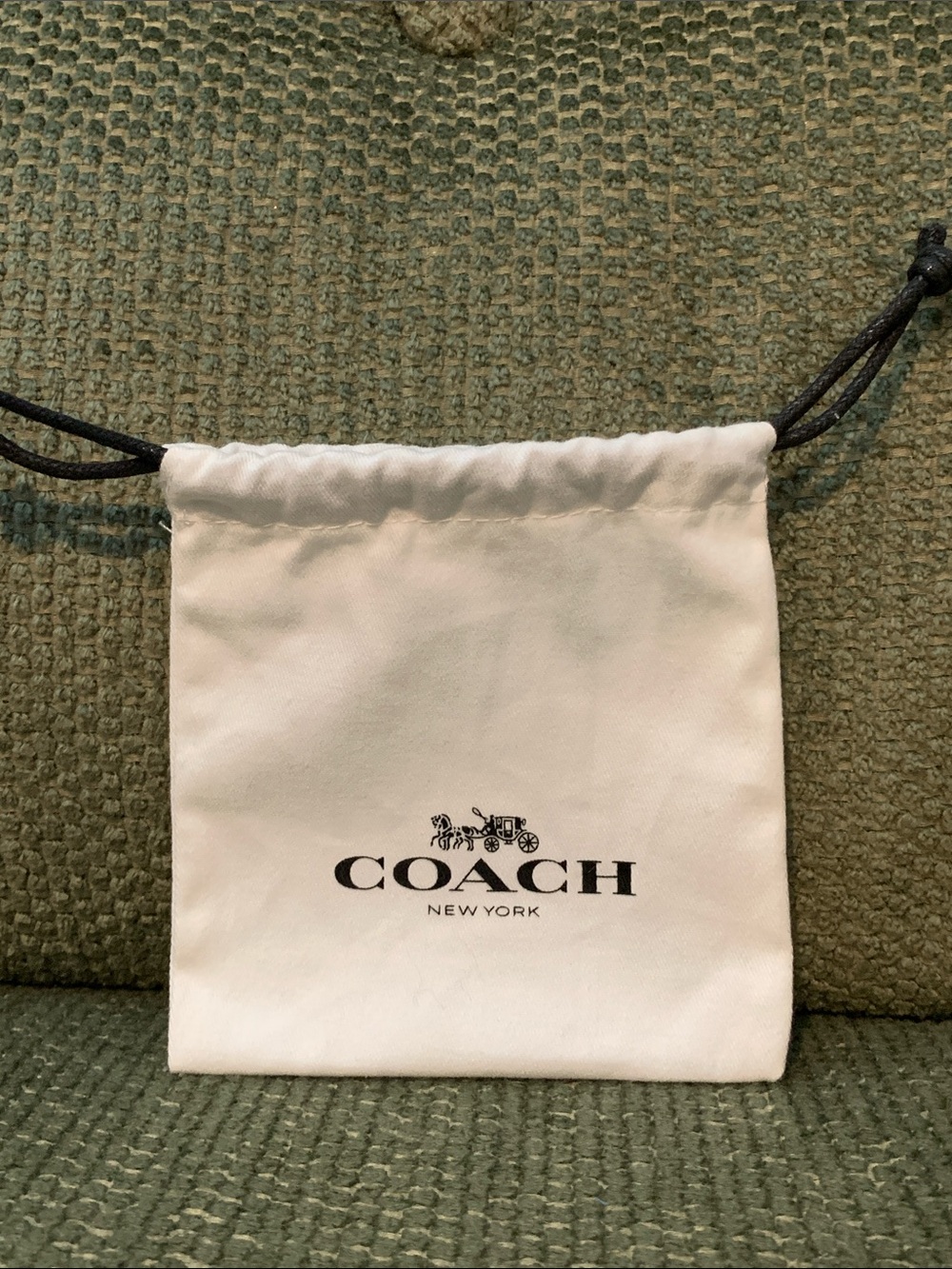 Coach Dust Bag